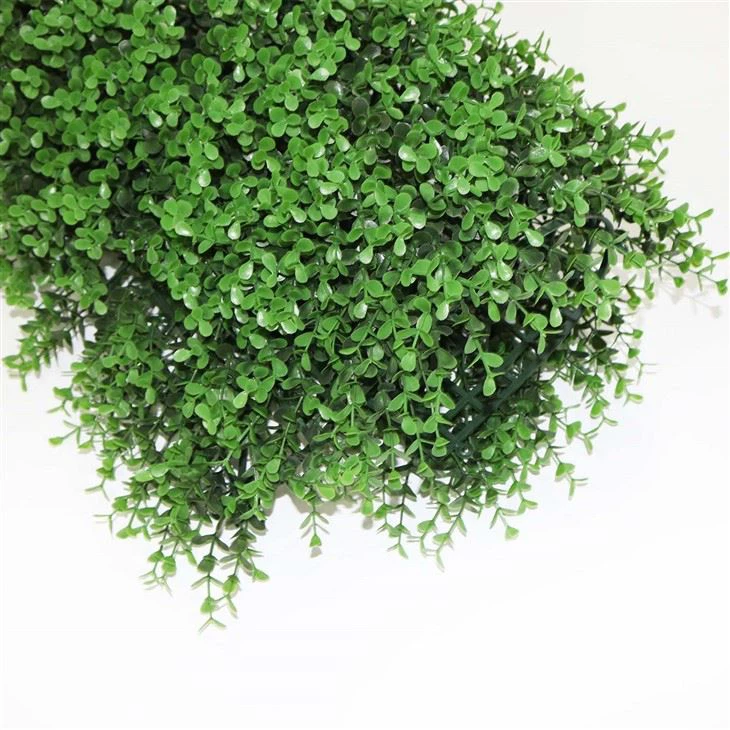 Grass Wall Classroom