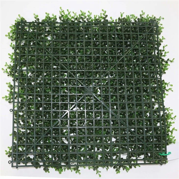 Grass Wall Classroom