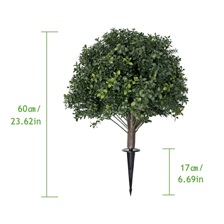 Boxwoodi pallid