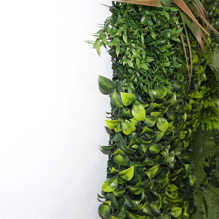 Diy Indoor Moss Wall