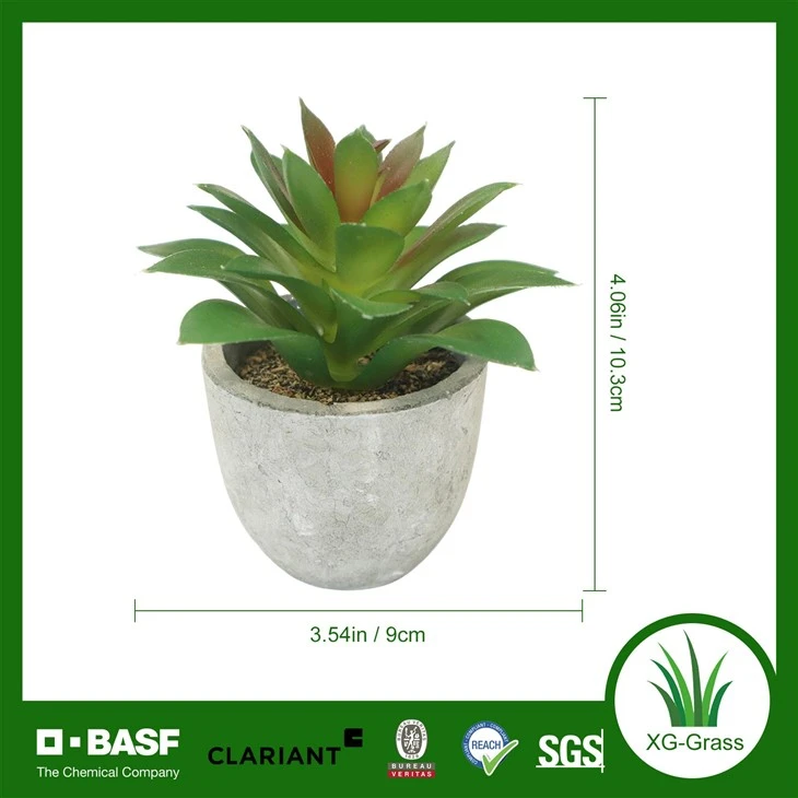 Xingu Lifelike Succulent Plant Decor For Home And Office Spaces factory