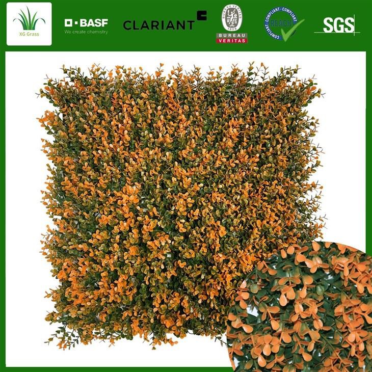 Roheline rohi seinakaunistamiseks