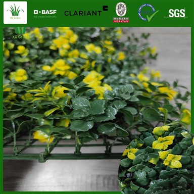 Parimad vertikaalse aia taimed