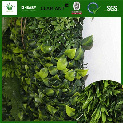 DIy siseruumide samblasein