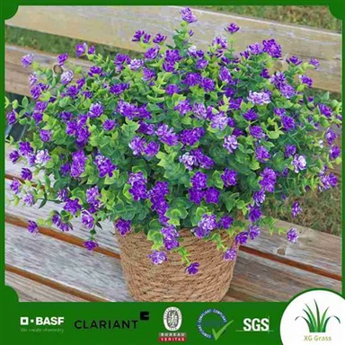 Kunsthortensia seade