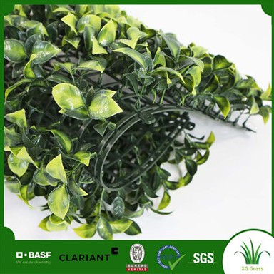 Roheline sein kontorisse