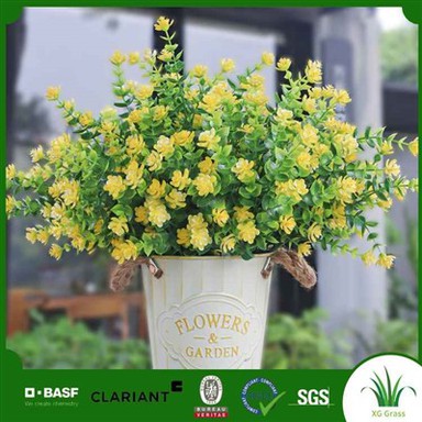 Siseruumide võltstaimed