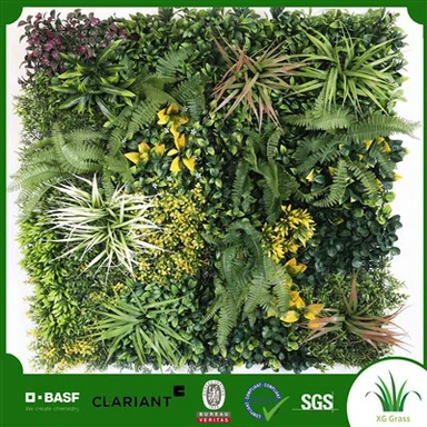 Rohelised seinataimed siseruumides