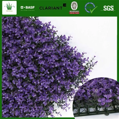 Ivy sein siseruumides