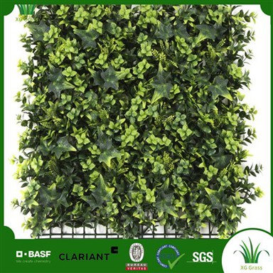 Siseruumides Elamine Roheline Sein