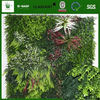 Vertikaalne aia istutusmasin siseruumides