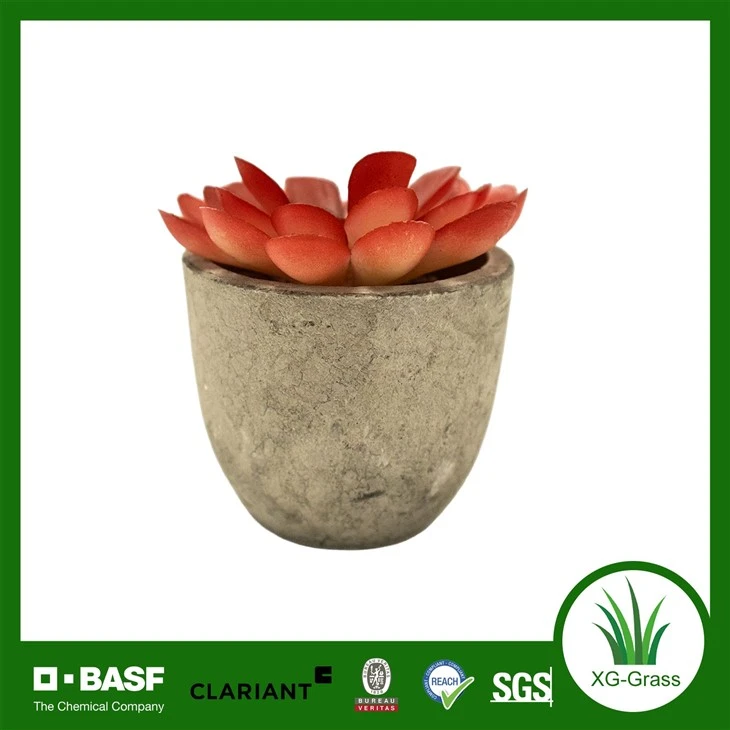 Wholesale Red Artificial Succulent Mini Faux Plants For Home & Office suppliers