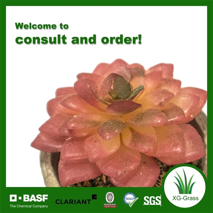 Xingu Lifelike Succulent Home Decor For Stylish Indoor Spaces price