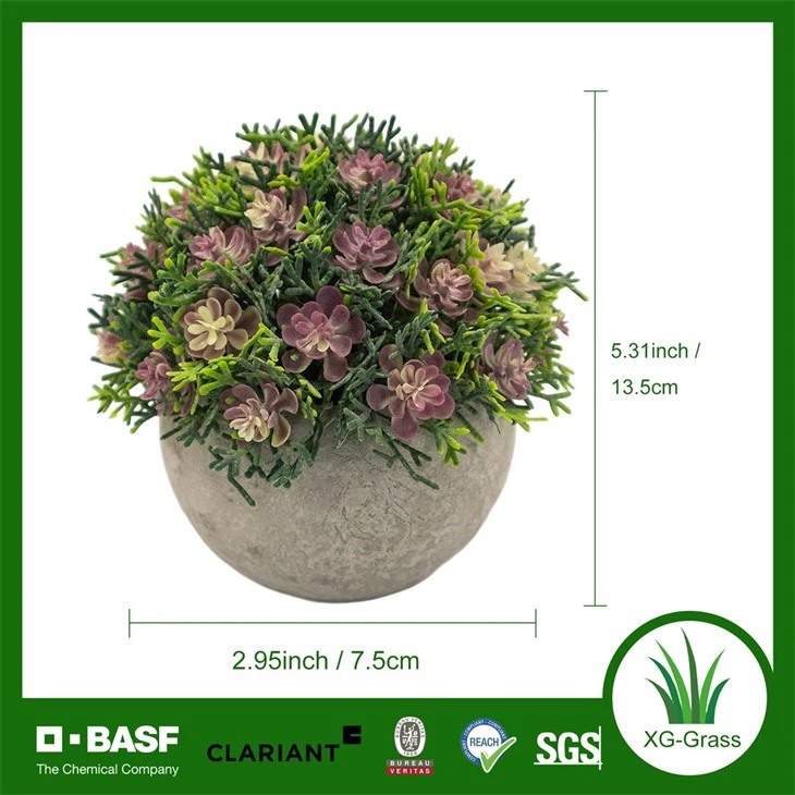 Xingu Realistic Faux Succulent Spherical Plant For Indoor Spaces best